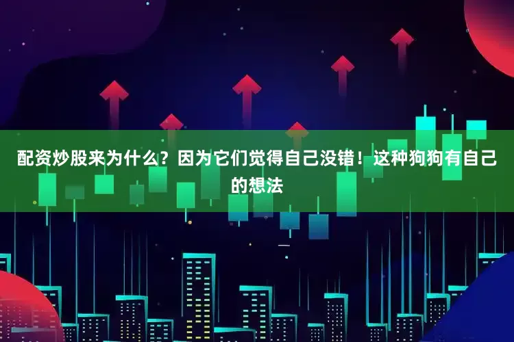 配资炒股来为什么？因为它们觉得自己没错！这种狗狗有自己的想法
