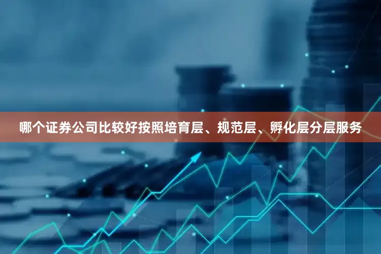 哪个证券公司比较好按照培育层、规范层、孵化层分层服务