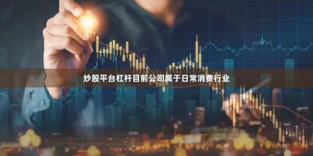 炒股平台杠杆目前公司属于日常消费行业