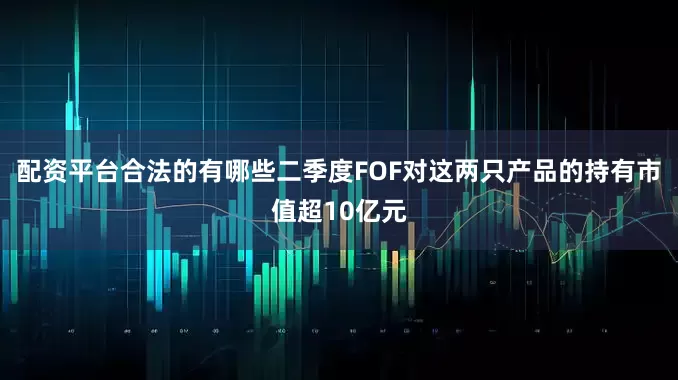 配资平台合法的有哪些二季度FOF对这两只产品的持有市值超10亿元