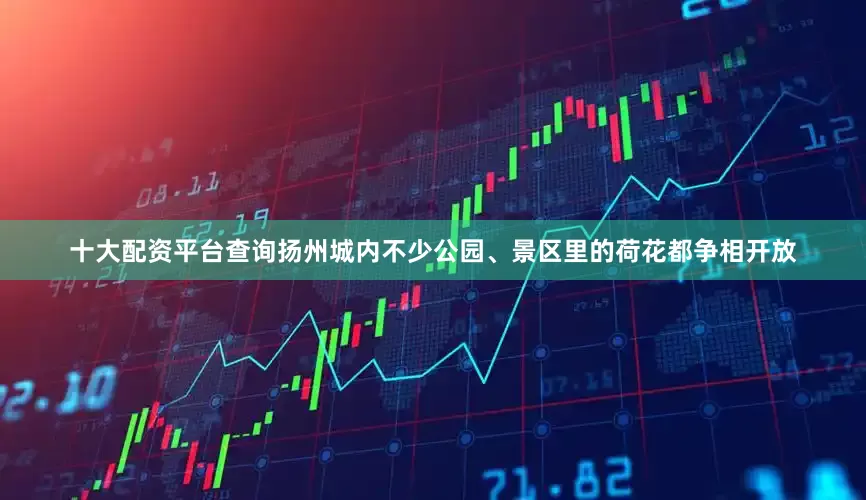 十大配资平台查询扬州城内不少公园、景区里的荷花都争相开放