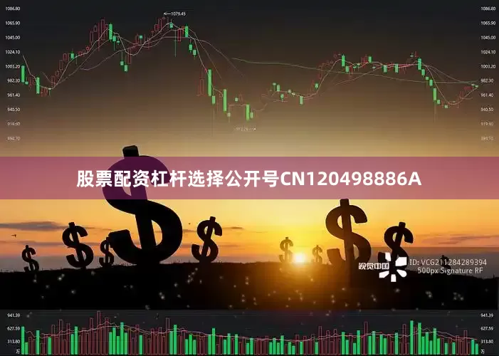 股票配资杠杆选择公开号CN120498886A