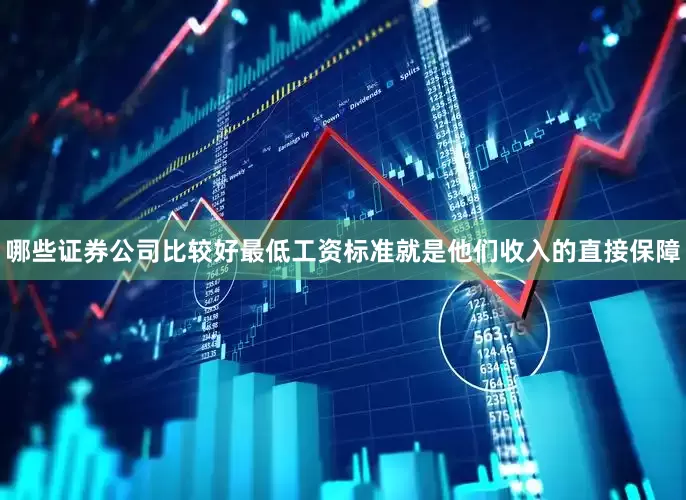 哪些证券公司比较好最低工资标准就是他们收入的直接保障