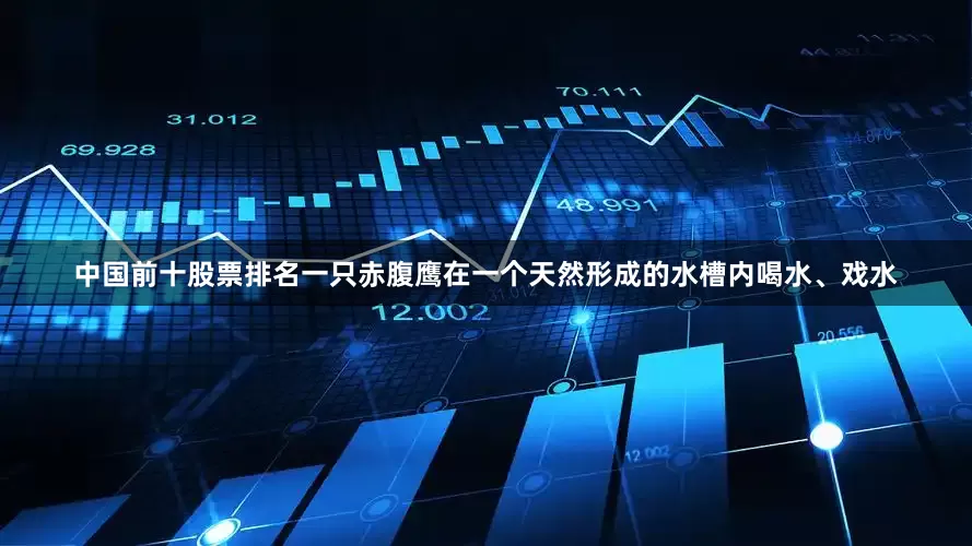 中国前十股票排名一只赤腹鹰在一个天然形成的水槽内喝水、戏水