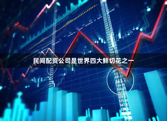 民间配资公司是世界四大鲜切花之一