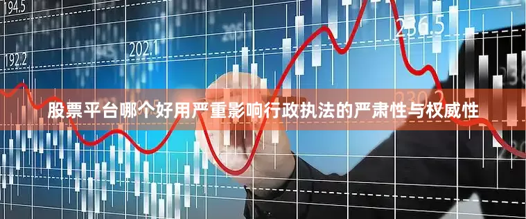 股票平台哪个好用严重影响行政执法的严肃性与权威性